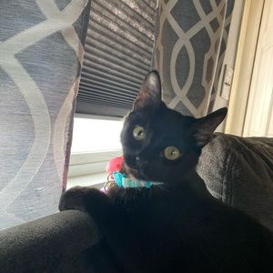 Meet your Posher, Sandy